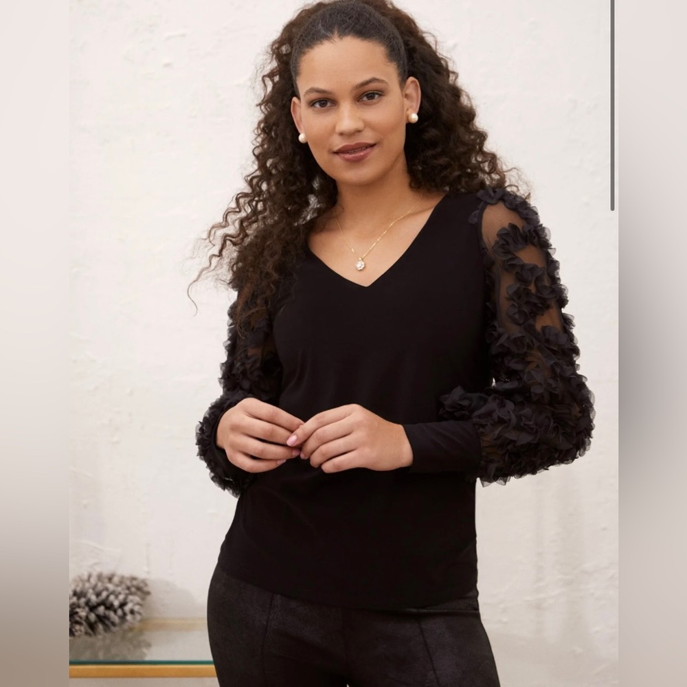 Laura Plus Embellished Mesh Sleeve Top 2X
